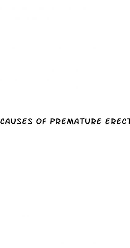 causes of premature erectile dysfunction