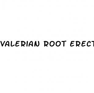 valerian root erectile dysfunction reddit