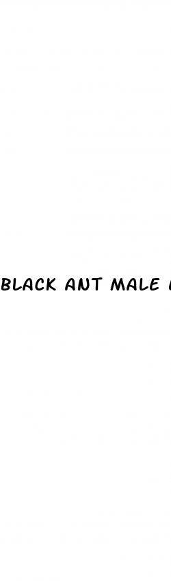 black ant male enhancement for sale