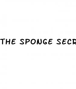 the sponge secret male enhancement