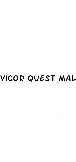 vigor quest male enhancement