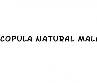 copula natural male enhancement