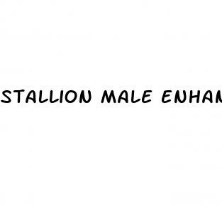 stallion male enhancement pills