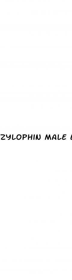 zylophin male enhancement