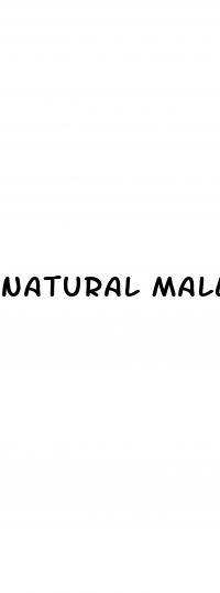 natural male enhancement and penis enlargement