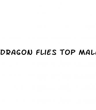 dragon flies top male sex pill