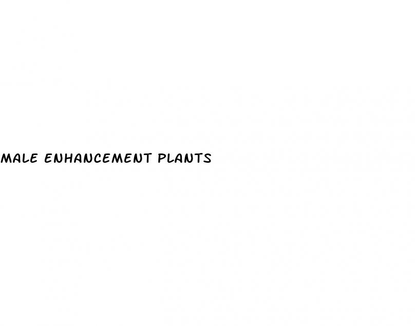 male enhancement plants