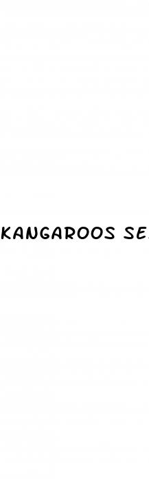 kangaroos sex pill