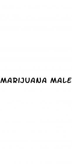 marijuana male enhancement