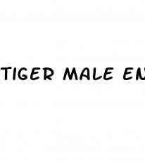 tiger male enhancement pills reviews