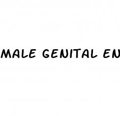 male genital enhancement