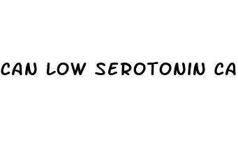 can low serotonin cause erectile dysfunction