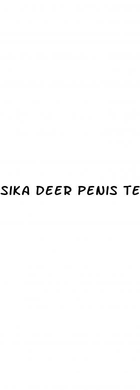 sika deer penis testes soft capsule male enhancer premature ejaculation