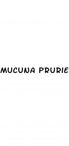 mucuna pruriens for male enhancement