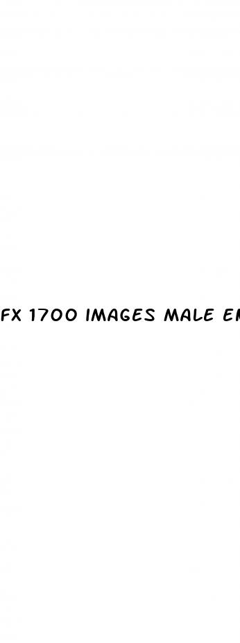 fx 1700 images male enhancement pills