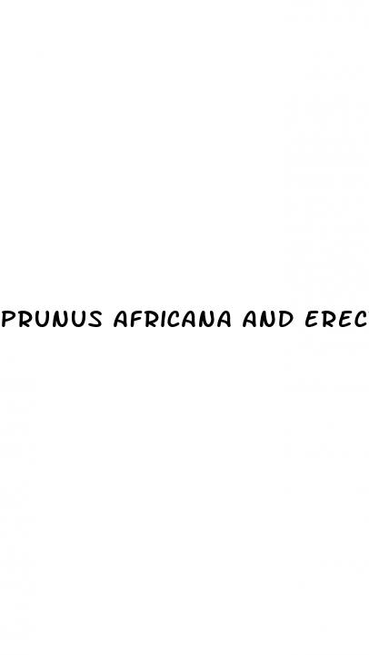 prunus africana and erectile dysfunction