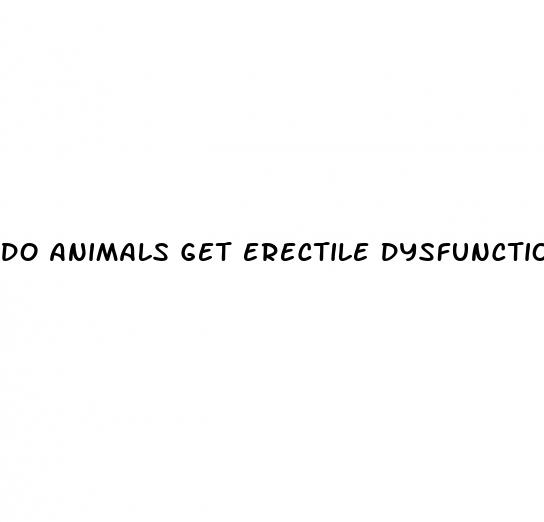 do animals get erectile dysfunction