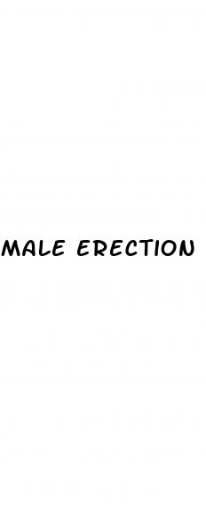 male erection enhancement herbs