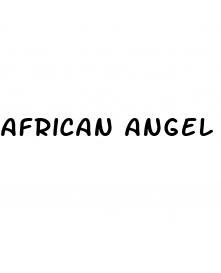 african angel male enhancement tonic reviews