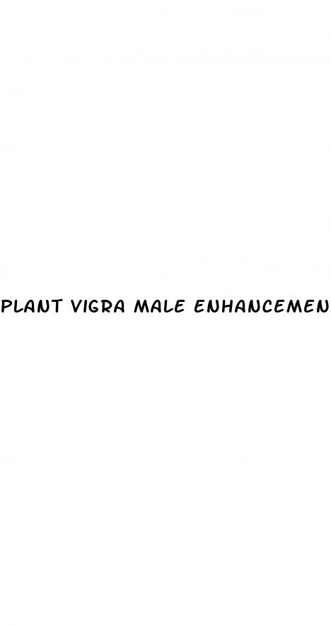 plant vigra male enhancement pills reviews