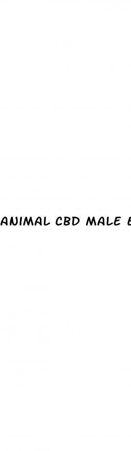 animal cbd male enhancement gummies bottle