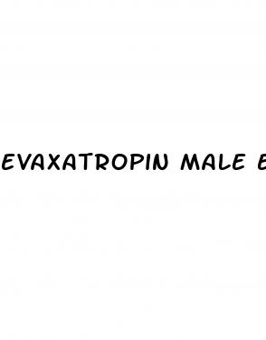 evaxatropin male enhancement gummies