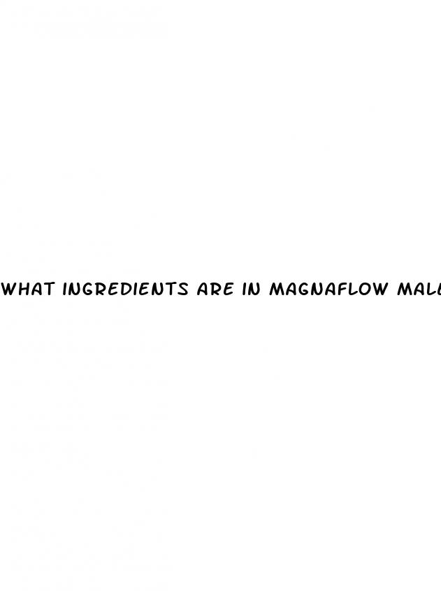 what ingredients are in magnaflow male enhancement pills