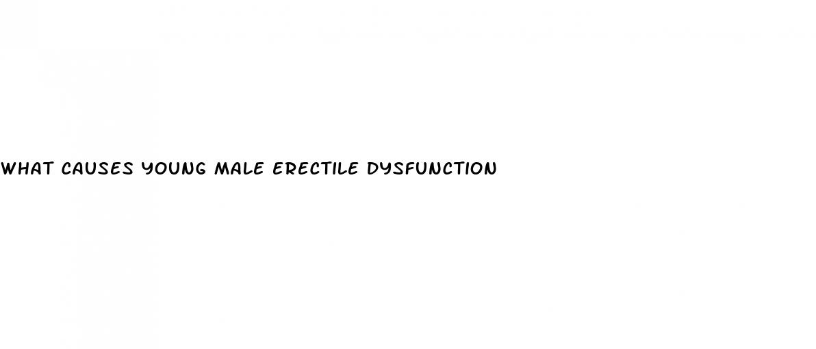 what causes young male erectile dysfunction