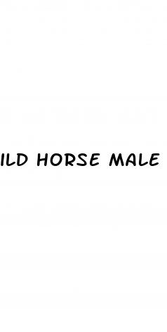 ild horse male enhancement sexual pills