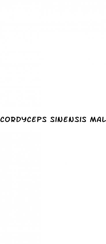 cordyceps sinensis male enhancement