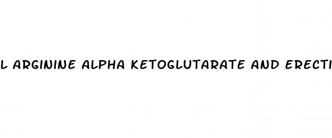 l arginine alpha ketoglutarate and erectile dysfunction