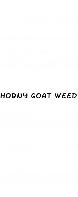 horny goat weed male enhancements how much time