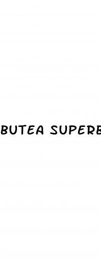 butea superba male enhancement