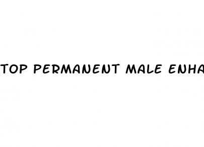 top permanent male enhancement pills