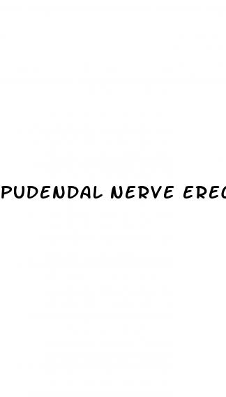 pudendal nerve erectile dysfunction reddit