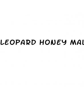 leopard honey male enhancement