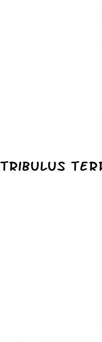 tribulus terrestris erectile dysfunction