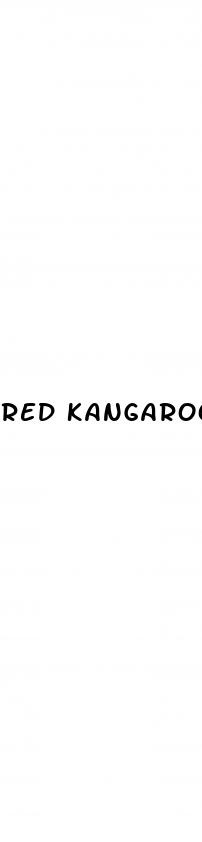 red kangaroo male enhancement pills