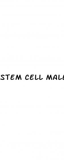 stem cell male enhancement