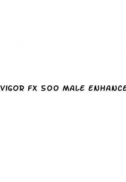 vigor fx 500 male enhancement