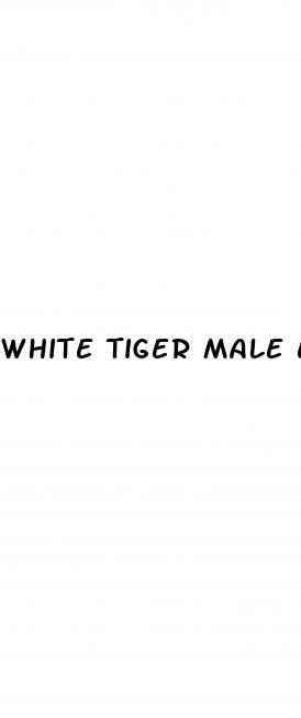 white tiger male enhancement pills reviews