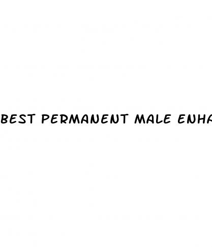 best permanent male enhancement pills