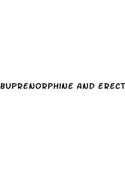 buprenorphine and erectile dysfunction