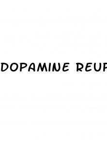 dopamine reuptake inhibitor medication erectile dysfunction