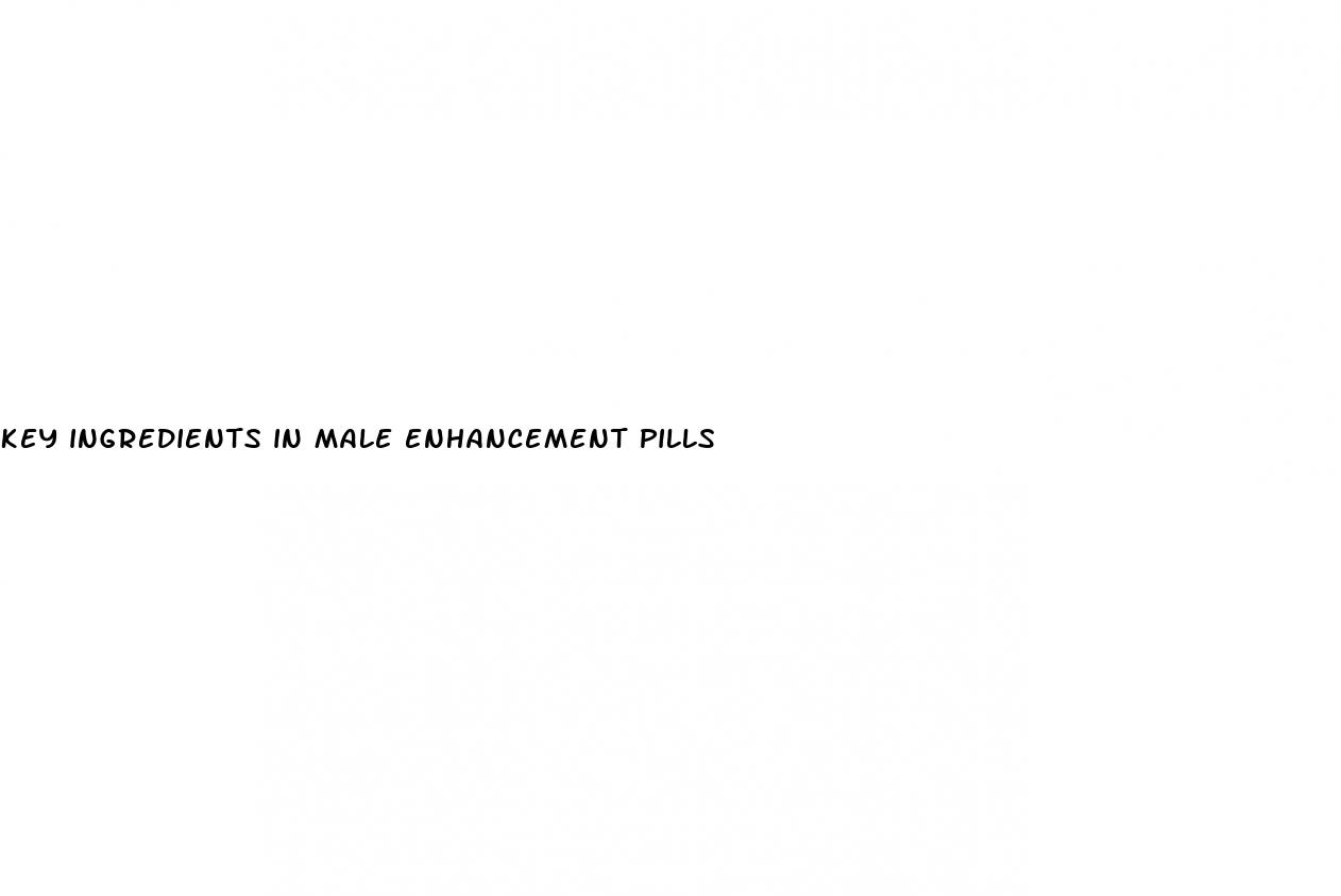 key ingredients in male enhancement pills