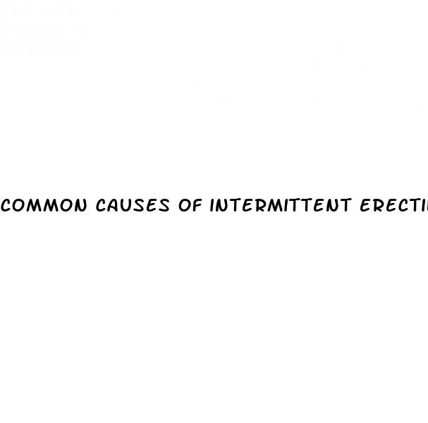 common causes of intermittent erectile dysfunction