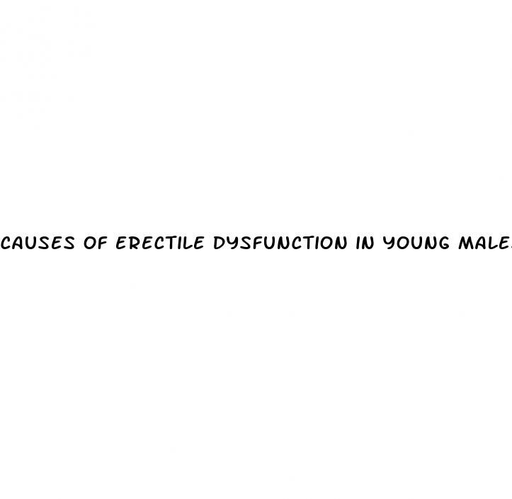 causes of erectile dysfunction in young males