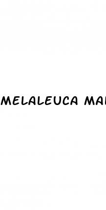 melaleuca male enhancement