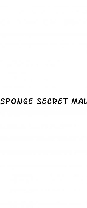 sponge secret male enhancement reddit