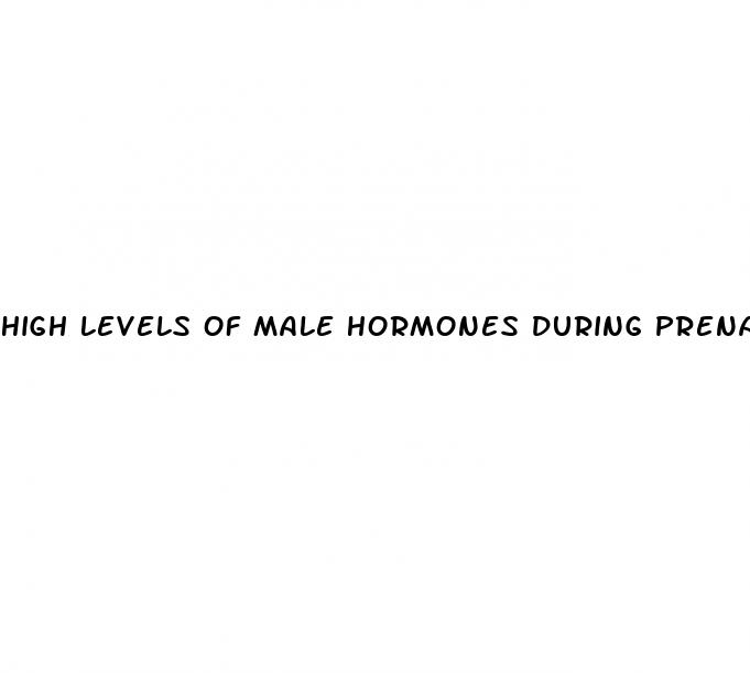 high levels of male hormones during prenatal development may enhance